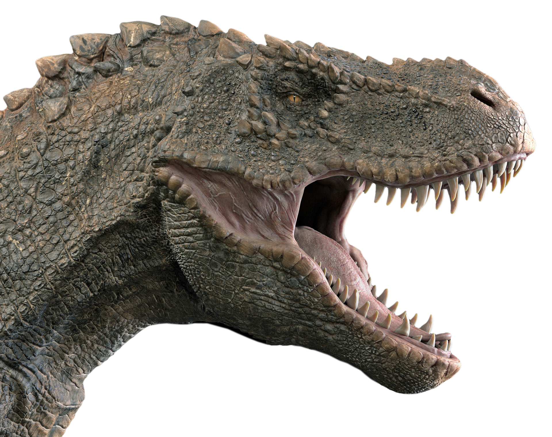 dinosaur-3149580_1920